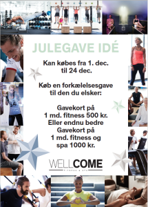 wellcome-julegave