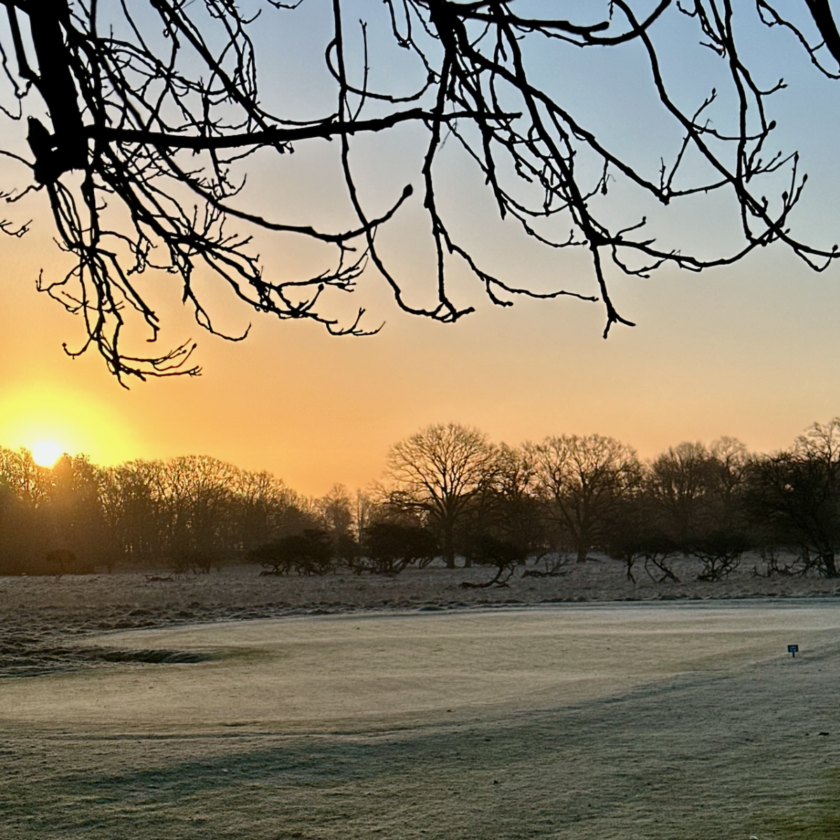 79628126948__B60471E0-CF1D-418A-B0C2-A7197CDD8CF6