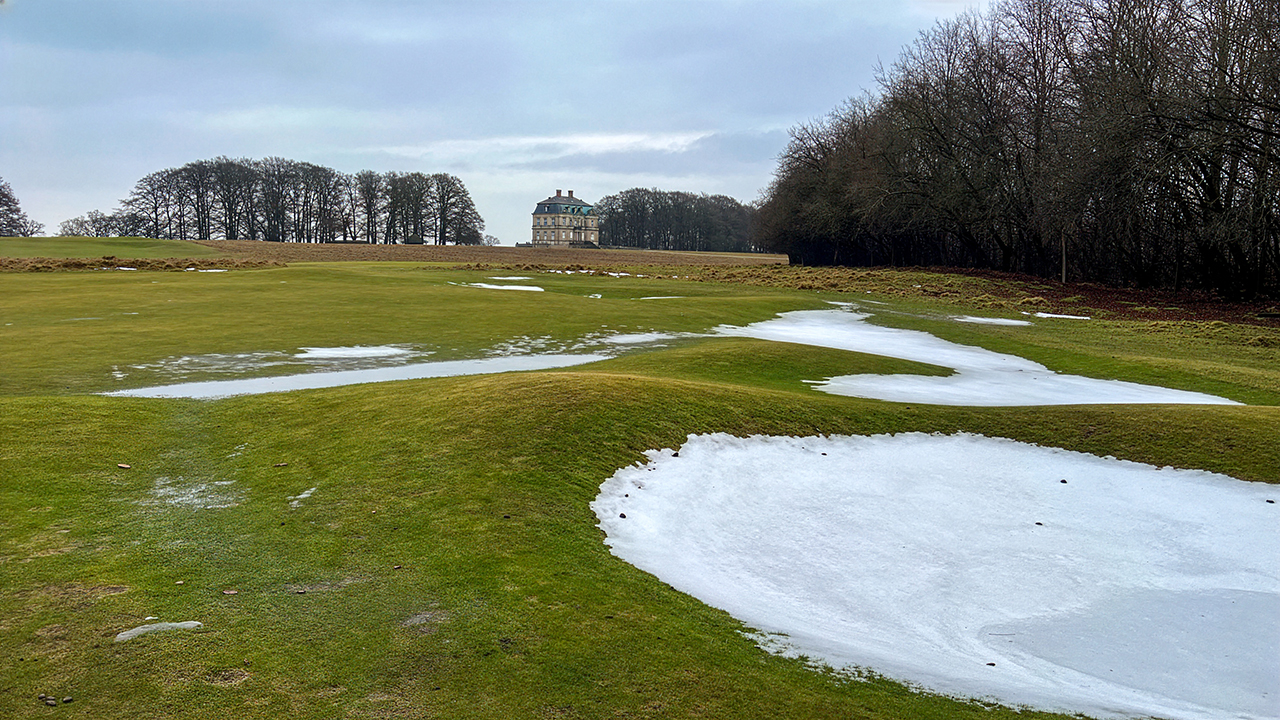 image003_Banestatus_NKL Firefly Upscaler 2x SMALL