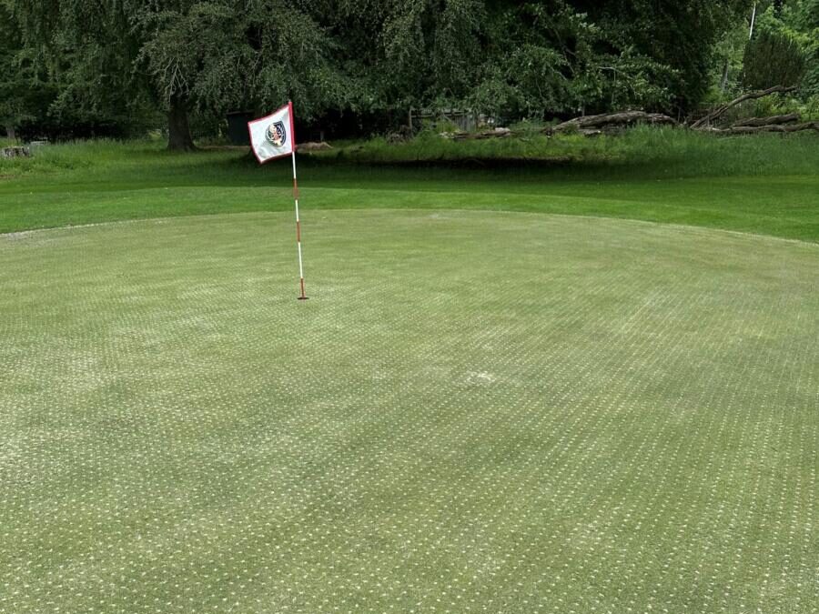 Prikket green med hvidt sand